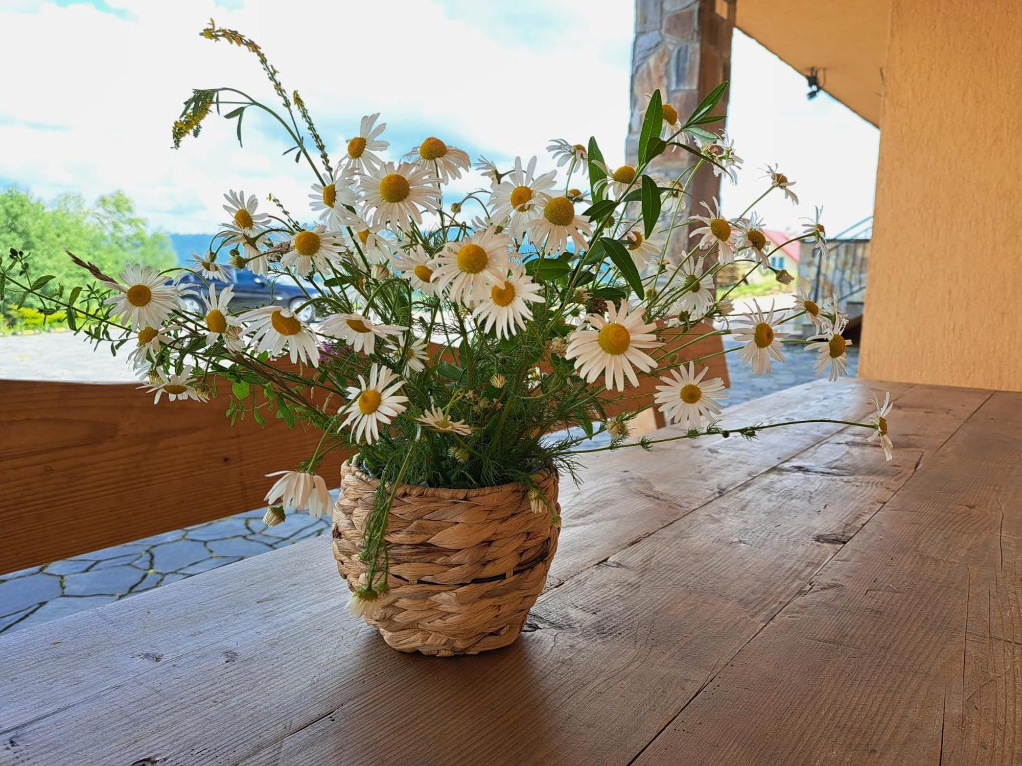 Willa Diana- Z Panorama Jeziora I Gor W Polanczyku 部屋 写真